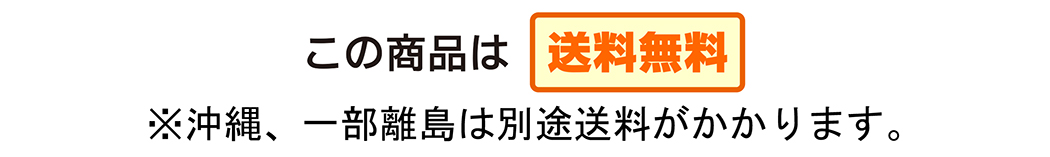 送料無料(沖縄、一部離島は別途送料がかかります。）